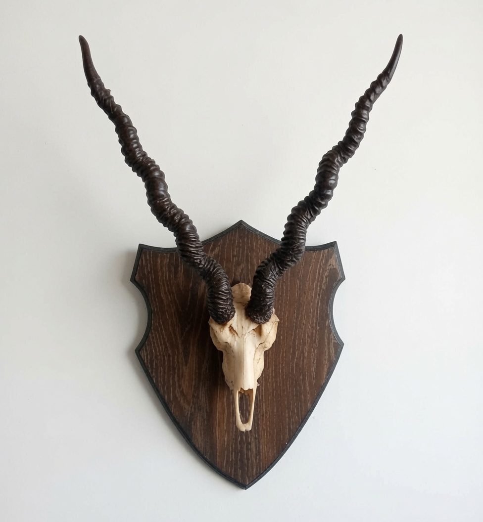 Blackbuck fiberglass mount