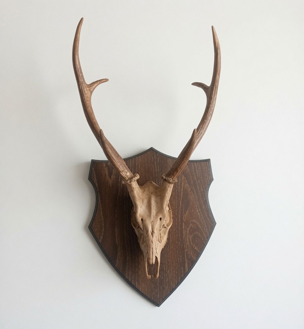 Hog Deer fiberglass mount